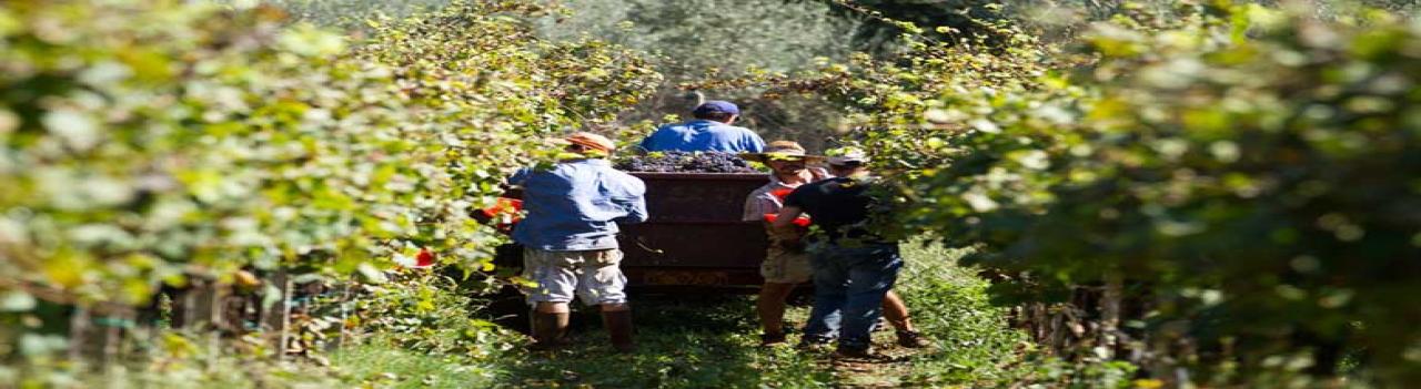 El 2019 en cinco artículos de Factor Trabajo