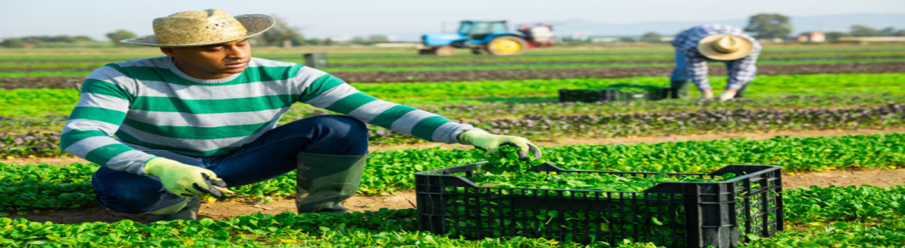 Apostarle a la economía verde para recuperar el empleo perdido