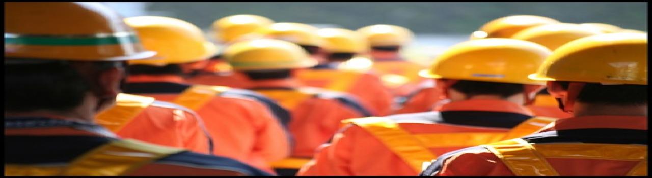 Productividad, innovación y capacitación en las firmas